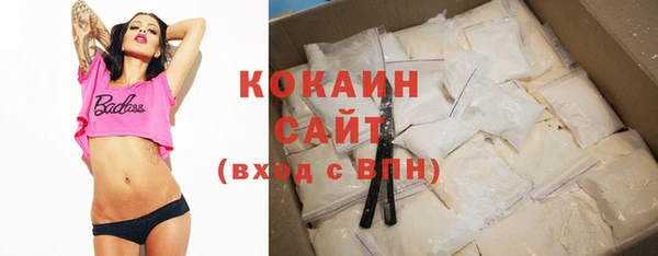 гашик Алзамай