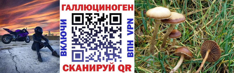 Псилоцибиновые грибы Magic Shrooms  мега сайт  Шатура  даркнет сайт 